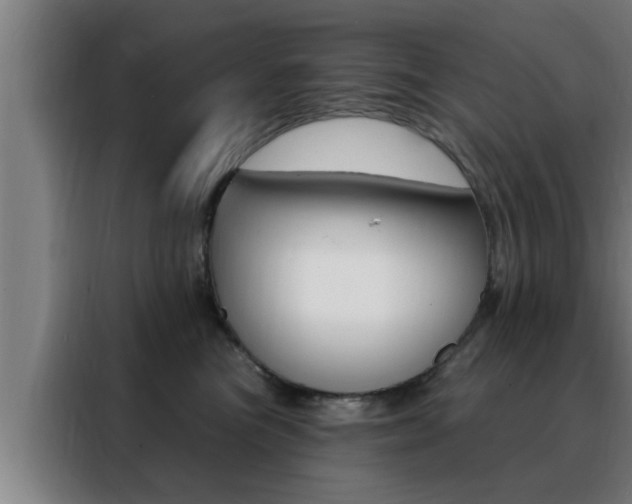 X0000088490473200705221026