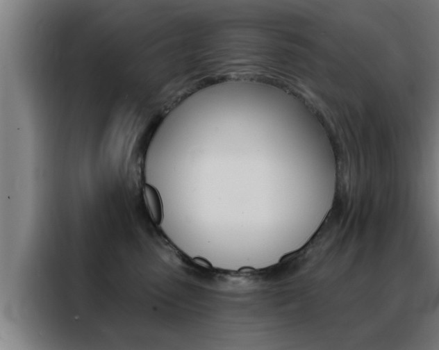 X0000088490475200705221026