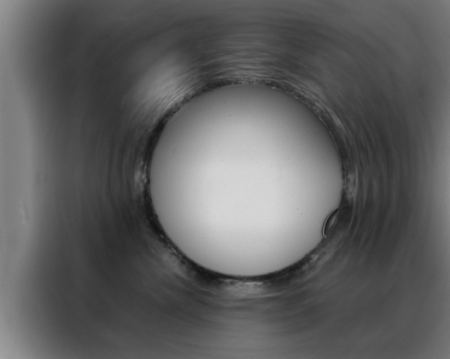 X0000088490476200705221026