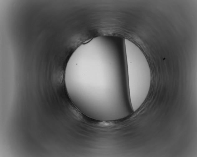 X0000088490477200705221026