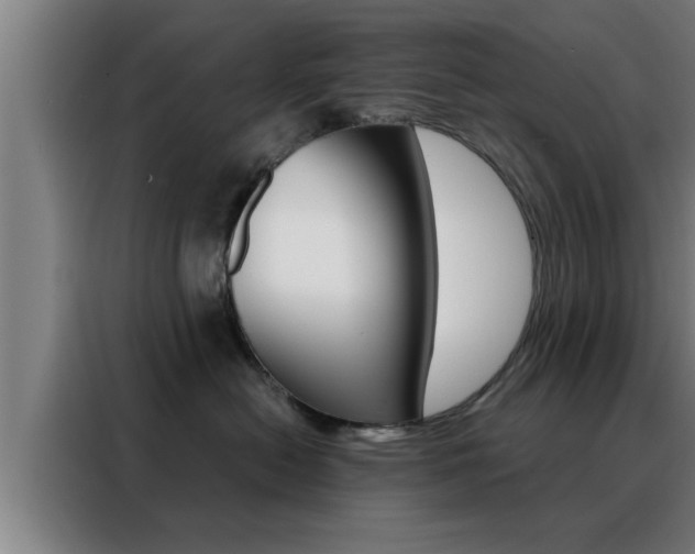 X0000088490478200705221026