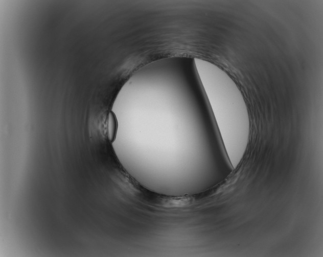 X0000088490479200705221026