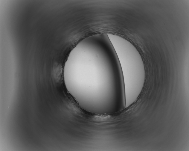 X0000088490480200705221026