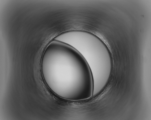 X0000088490481200705221025