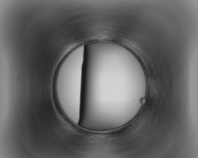 X0000088490482200705221025