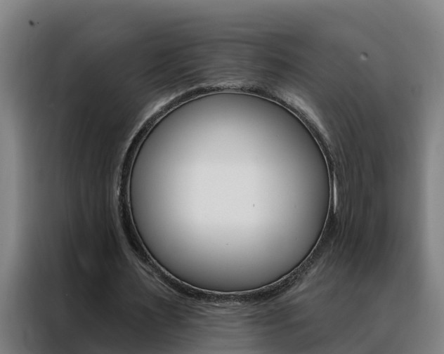 X0000088490483200705221025