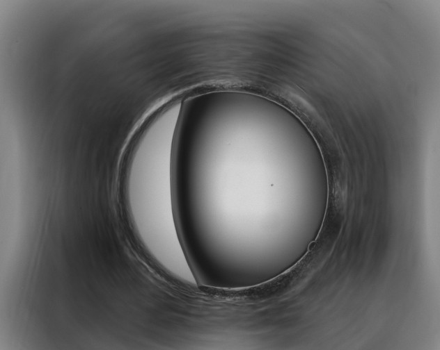 X0000088490484200705221025