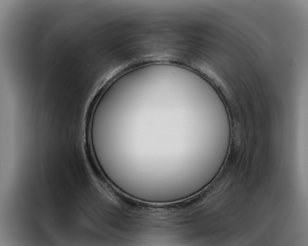 X0000088490486200705221025