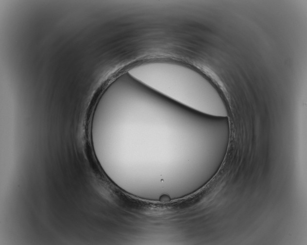 X0000088490487200705221025