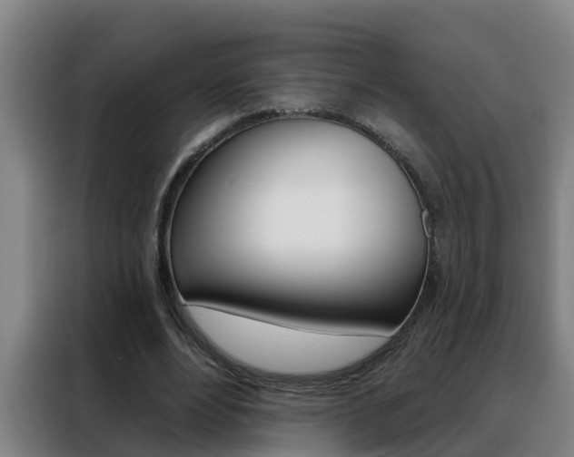 X0000088490488200705221025