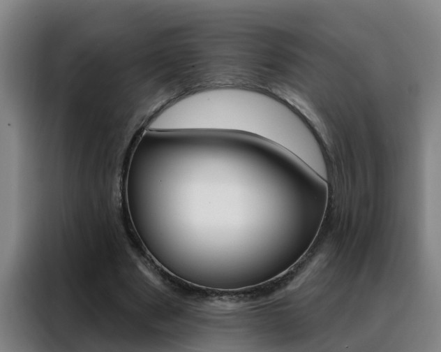 X0000088490489200705221025