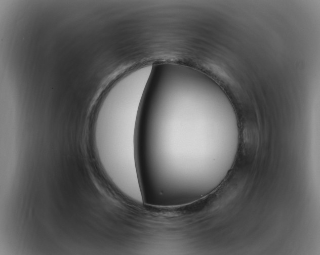 X0000088490492200705221025