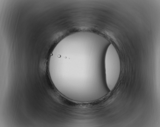 X0000088490495200705221025