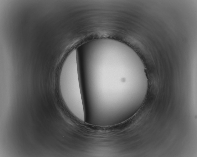 X0000088490496200705221025