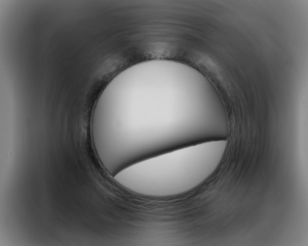 X0000088490499200705221025