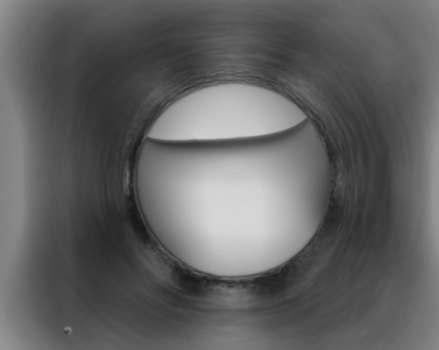 X0000088490502200705221025