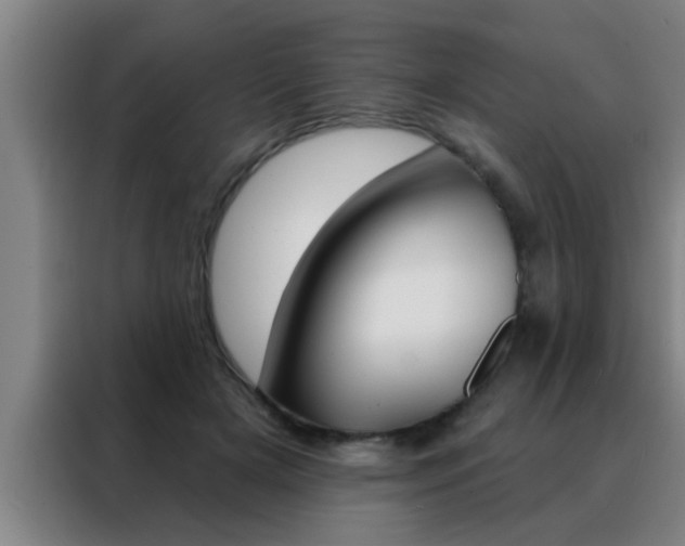 X0000088490505200705221025
