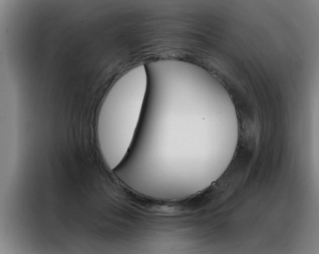 X0000088490506200705221025