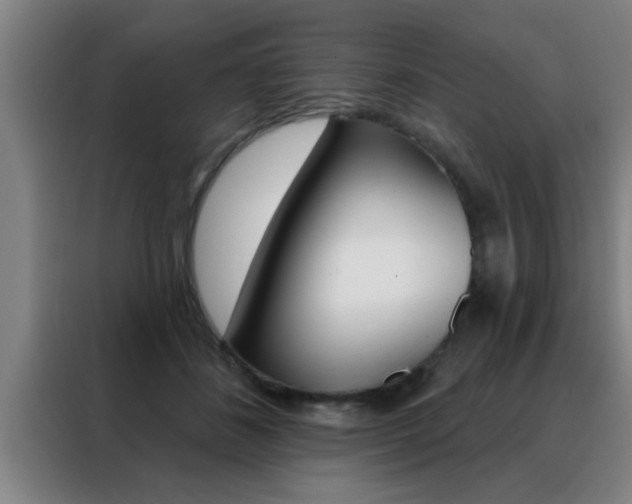 X0000088490508200705221025