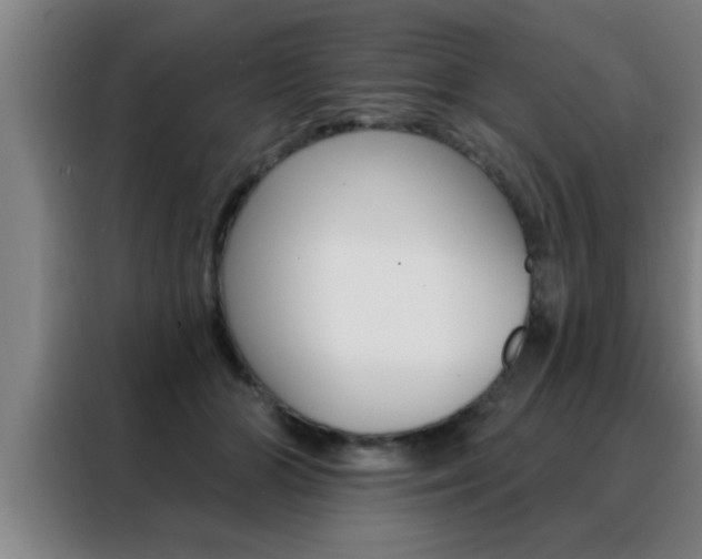 X0000088490510200705221025