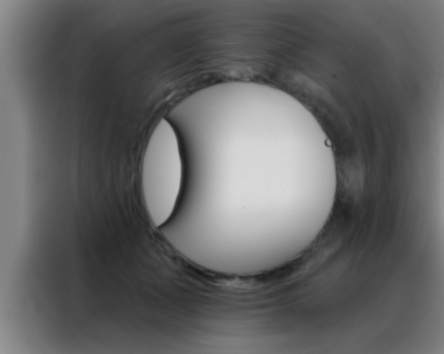 X0000088490511200705221025