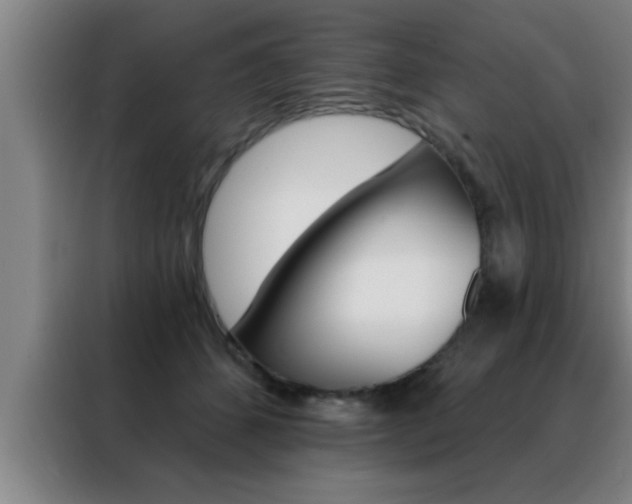 X0000088490512200705221025