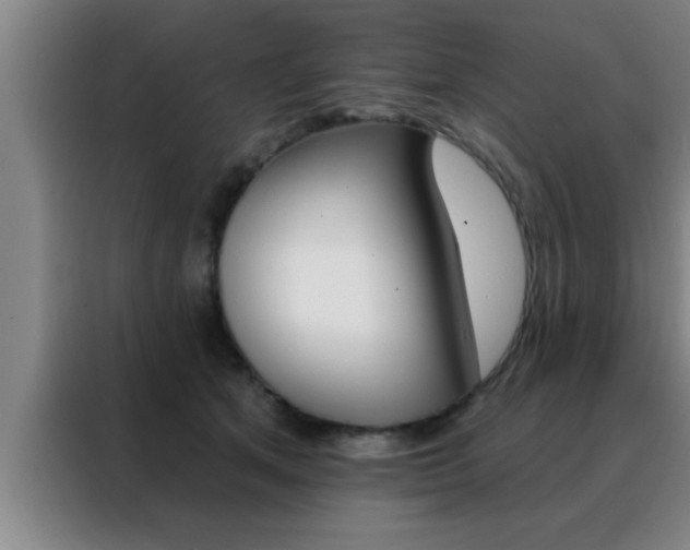 X0000088490513200705221025