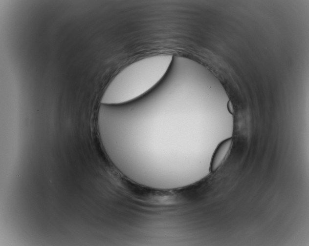 X0000088490514200705221025