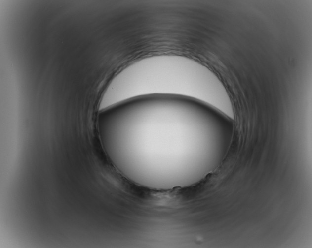 X0000088490516200705221025