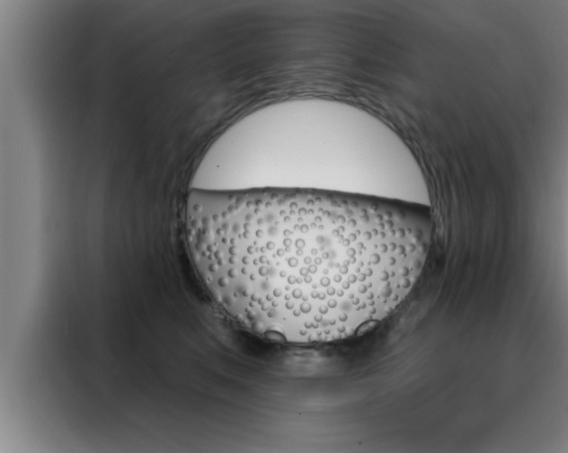 X0000088490519200705221025