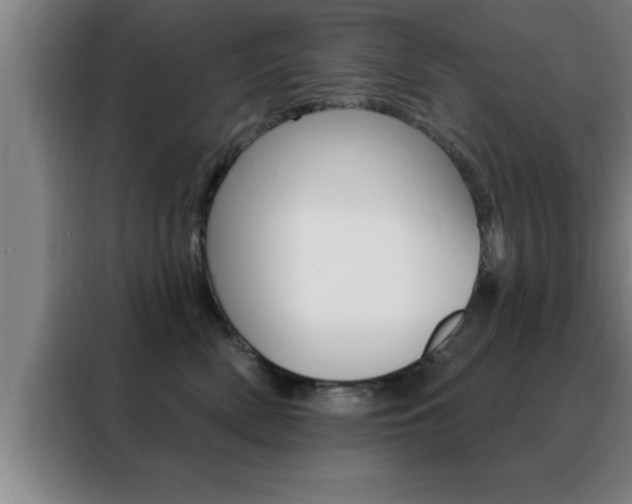 X0000088490522200705221025