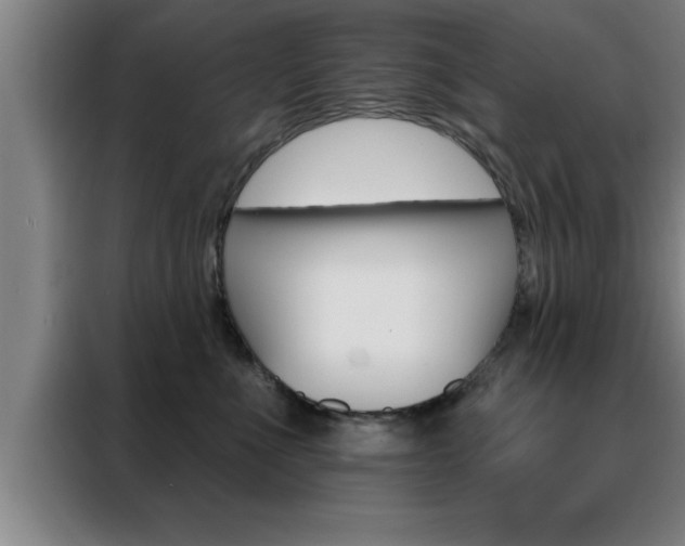 X0000088490523200705221025