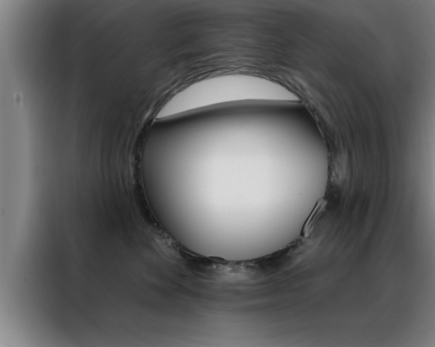 X0000088490524200705221025