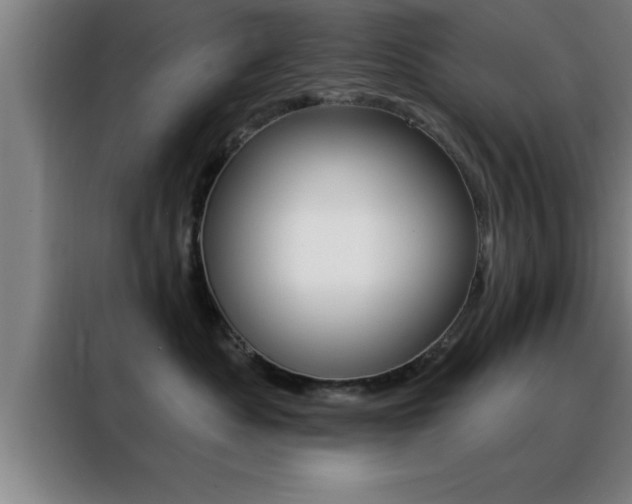 X0000088490525200705221025