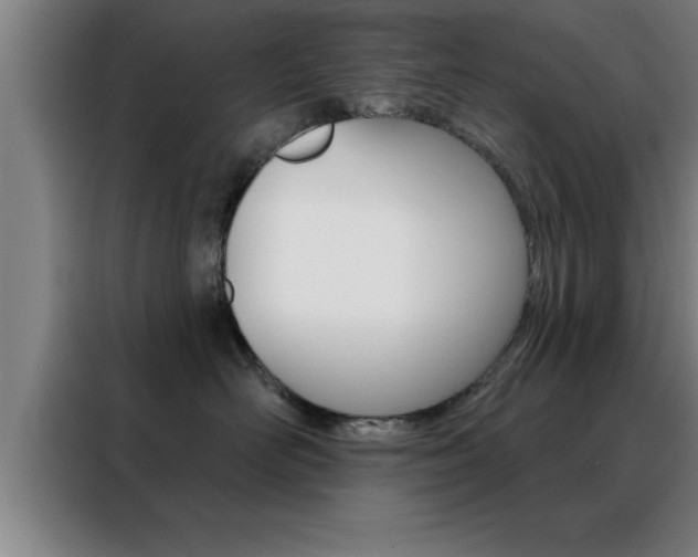 X0000088490526200705221025