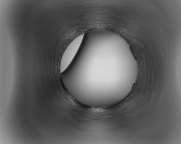 X0000088490528200705221025