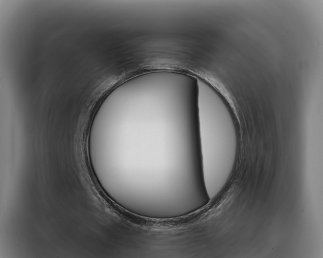 X0000088490529200705221024