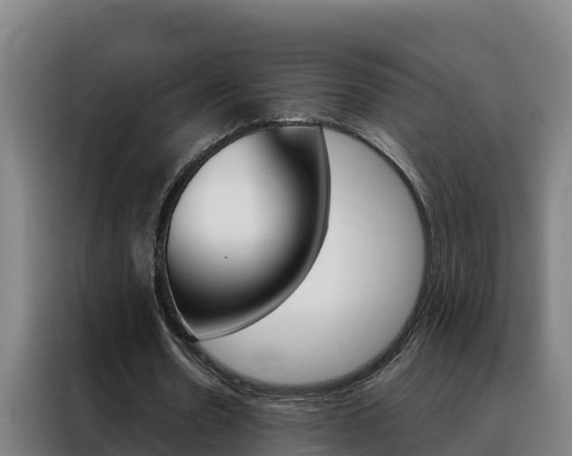 X0000088490530200705221024