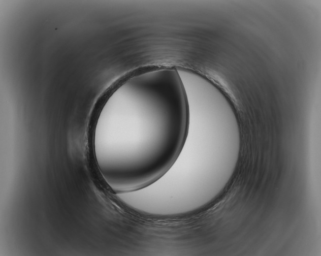 X0000088490532200705221024