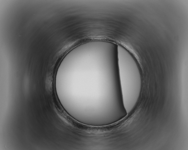 X0000088490533200705221024