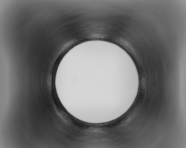 X0000088490534200705221024