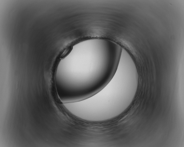 X0000088490540200705221024