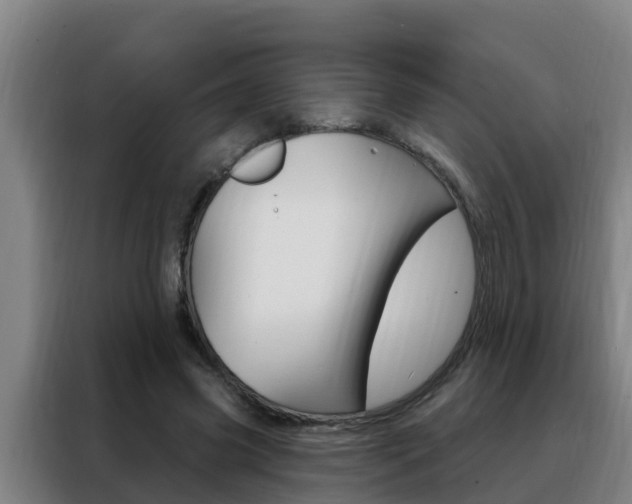 X0000088490541200705221024