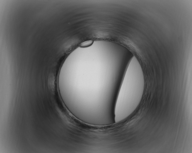 X0000088490542200705221024