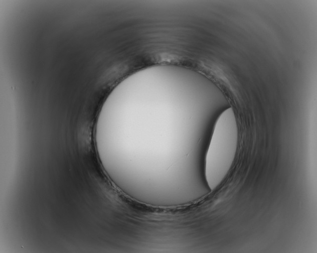 X0000088490545200705221024