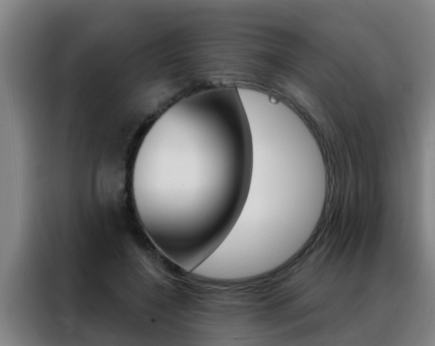 X0000088490548200705221024