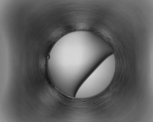 X0000088490550200705221024