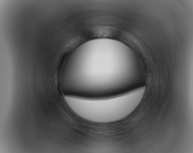 X0000088490551200705221024