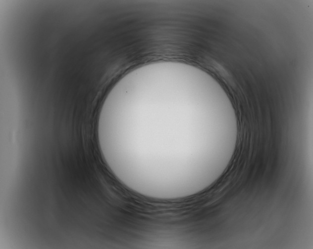 X0000088490552200705221024