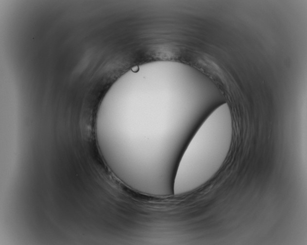 X0000088490553200705221024